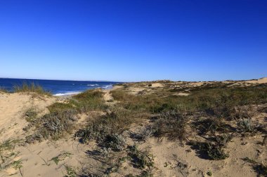 Güneybatı Alentejo ve Vicentine Coast Natural Park, Portekiz 'in güneybatısında yer alan doğal bir parktır..