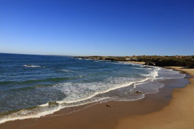Güneybatı Alentejo ve Vicentine Coast Natural Park, Portekiz 'in güneybatısında yer alan doğal bir parktır..