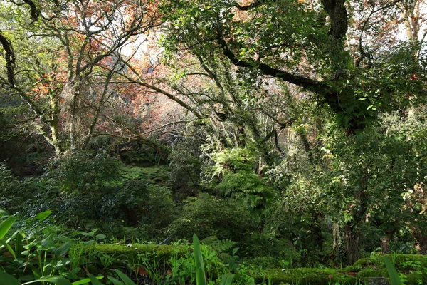Monserrate Sarayı, başkent Lizbon 'un kuzeyindeki Atlantik Okyanusu' na bakan eteklerdeki Portekiz sarayının geleneksel tatil beldesi olan Sintra yakınlarındaki saray..