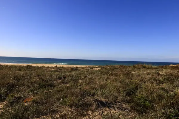 Meco Sahili Lizbon 'un güneyinde bulunan güzel bir kumlu kumsaldır.