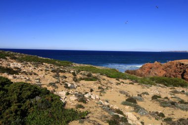 Güneybatı Alentejo ve Vicentine Coast Natural Park, Portekiz 'in güneybatısında yer alan doğal bir parktır..