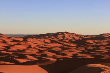 Erg Chebbi, Fas 'ın güneydoğusundaki Tafilalet' te rüzgarla savrulan kumlardan oluşan büyük bir kum tepesi denizi.