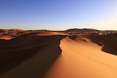 Erg Chebbi, Fas 'ın güneydoğusundaki Tafilalet' te rüzgarla savrulan kumlardan oluşan büyük bir kum tepesi denizi.