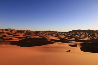 Erg Chebbi, Fas 'ın güneydoğusundaki Tafilalet' te rüzgarla savrulan kumlardan oluşan büyük bir kum tepesi denizi.