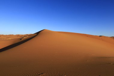 Erg Chebbi, Fas 'ın güneydoğusundaki Tafilalet' te rüzgarla savrulan kumlardan oluşan büyük bir kum tepesi denizi.