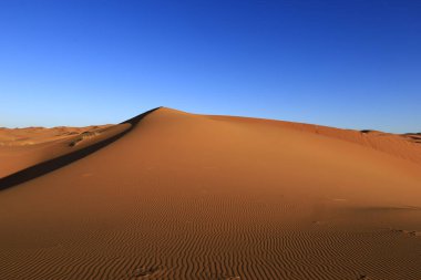 Erg Chebbi, Fas 'ın güneydoğusundaki Tafilalet' te rüzgarla savrulan kumlardan oluşan büyük bir kum tepesi denizi.