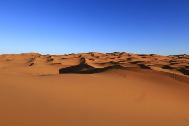 Erg Chebbi, Fas 'ın güneydoğusundaki Tafilalet' te rüzgarla savrulan kumlardan oluşan büyük bir kum tepesi denizi.