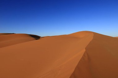 Erg Chebbi, Fas 'ın güneydoğusundaki Tafilalet' te rüzgarla savrulan kumlardan oluşan büyük bir kum tepesi denizi.