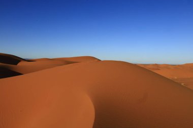 Erg Chebbi, Fas 'ın güneydoğusundaki Tafilalet' te rüzgarla savrulan kumlardan oluşan büyük bir kum tepesi denizi.