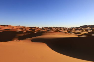 Erg Chebbi, Fas 'ın güneydoğusundaki Tafilalet' te rüzgarla savrulan kumlardan oluşan büyük bir kum tepesi denizi.