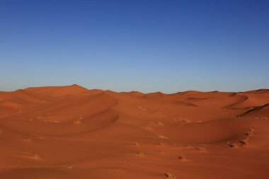 Erg Chebbi, Fas 'ın güneydoğusundaki Tafilalet' te rüzgarla savrulan kumlardan oluşan büyük bir kum tepesi denizi.