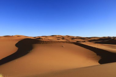 Erg Chebbi, Fas 'ın güneydoğusundaki Tafilalet' te rüzgarla savrulan kumlardan oluşan büyük bir kum tepesi denizi.