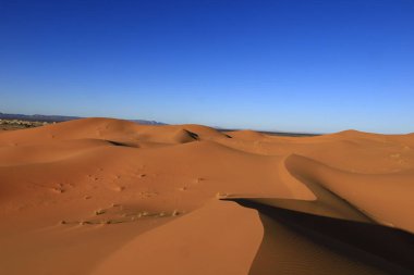 Erg Chebbi, Fas 'ın güneydoğusundaki Tafilalet' te rüzgarla savrulan kumlardan oluşan büyük bir kum tepesi denizi.