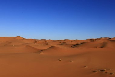 Erg Chebbi, Fas 'ın güneydoğusundaki Tafilalet' te rüzgarla savrulan kumlardan oluşan büyük bir kum tepesi denizi.