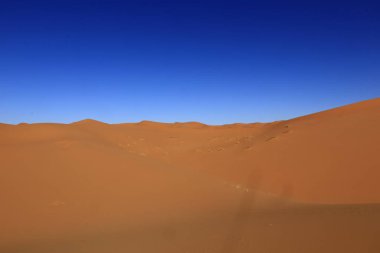 Erg Chebbi, Fas 'ın güneydoğusundaki Tafilalet' te rüzgarla savrulan kumlardan oluşan büyük bir kum tepesi denizi.