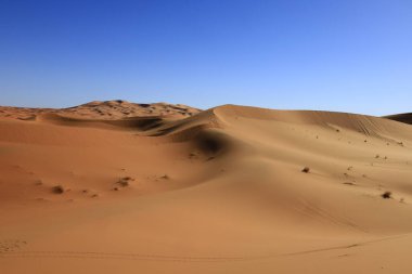 Erg Chebbi, Fas 'ın güneydoğusundaki Tafilalet' te rüzgarla savrulan kumlardan oluşan büyük bir kum tepesi denizi.