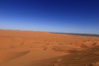 Erg Chebbi, Fas 'ın güneydoğusundaki Tafilalet' te rüzgarla savrulan kumlardan oluşan büyük bir kum tepesi denizi.