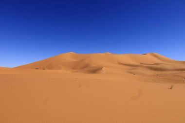 Erg Chebbi, Fas 'ın güneydoğusundaki Tafilalet' te rüzgarla savrulan kumlardan oluşan büyük bir kum tepesi denizi.
