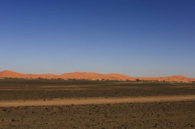 Erg Chebbi, Fas 'ın güneydoğusundaki Tafilalet' te rüzgarla savrulan kumlardan oluşan büyük bir kum tepesi denizi.