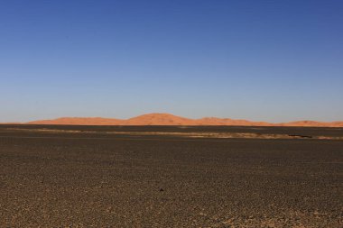 Erg Chebbi, Fas 'ın güneydoğusundaki Tafilalet' te rüzgarla savrulan kumlardan oluşan büyük bir kum tepesi denizi.