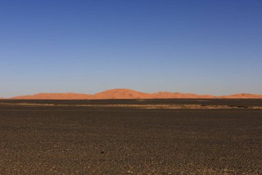 Erg Chebbi, Fas 'ın güneydoğusundaki Tafilalet' te rüzgarla savrulan kumlardan oluşan büyük bir kum tepesi denizi.