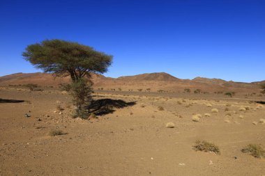 Fas 'taki Haut Atlas Oriental Ulusal Parkı' nın dağdaki görüntüsü. Doğu Yüksek Atlas Dağları 'nın içinde ve yakınında 49.000 hektarlık bir alanı kaplıyor