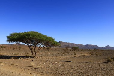 Fas 'taki Haut Atlas Oriental Ulusal Parkı' nın dağdaki görüntüsü. Doğu Yüksek Atlas Dağları 'nın içinde ve yakınında 49.000 hektarlık bir alanı kaplıyor