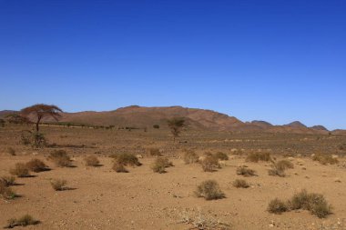 Fas 'taki Haut Atlas Oriental Ulusal Parkı' nın dağdaki görüntüsü. Doğu Yüksek Atlas Dağları 'nın içinde ve yakınında 49.000 hektarlık bir alanı kaplıyor
