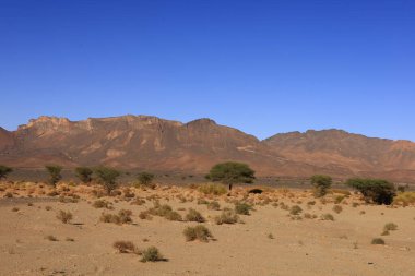 Fas 'taki Haut Atlas Oriental Ulusal Parkı' nın dağdaki görüntüsü. Doğu Yüksek Atlas Dağları 'nın içinde ve yakınında 49.000 hektarlık bir alanı kaplıyor