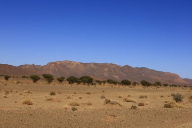 Fas 'taki Haut Atlas Oriental Ulusal Parkı' nın dağdaki görüntüsü. Doğu Yüksek Atlas Dağları 'nın içinde ve yakınında 49.000 hektarlık bir alanı kaplıyor