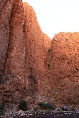 Todgha Vadisi, Fas 'taki Yüksek Atlas Dağları' nın doğu kesiminde Tinerhir kasabası yakınlarında yer alan bir dizi kireçtaşı nehir kanyonudur.