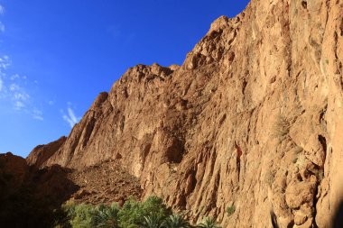 Todgha Vadisi, Fas 'taki Yüksek Atlas Dağları' nın doğu kesiminde Tinerhir kasabası yakınlarında yer alan bir dizi kireçtaşı nehir kanyonudur.