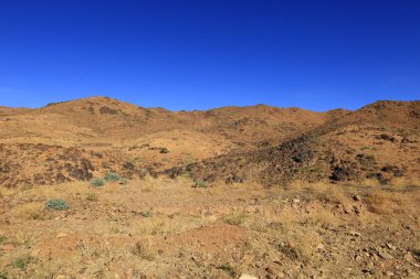 Fas 'taki Haut Atlas Oriental Ulusal Parkı' ndaki bir dağın manzarası. Doğu Yüksek Atlas Dağları 'nın içinde ve yakınında 49.000 hektarlık bir alanı kaplıyor