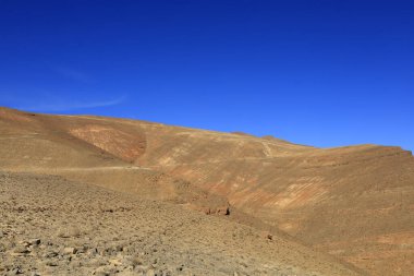 Fas 'taki Haut Atlas Oriental Ulusal Parkı' ndaki bir dağın manzarası. Doğu Yüksek Atlas Dağları 'nın içinde ve yakınında 49.000 hektarlık bir alanı kaplıyor