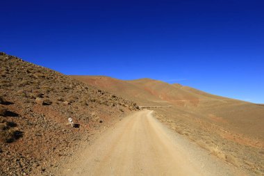 Fas 'taki Haut Atlas Doğu Ulusal Parkı' nda bir yol manzarası. 