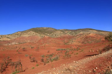 Fas 'taki Haut Atlas Oriental Ulusal Parkı' ndaki bir dağın manzarası. Doğu Yüksek Atlas Dağları 'nın içinde ve yakınında 49.000 hektarlık bir alanı kaplıyor
