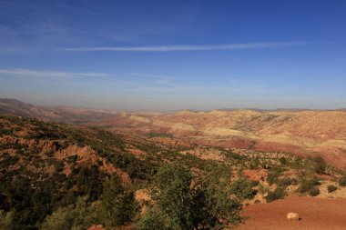 Fas 'taki Haut Atlas Oriental Ulusal Parkı' ndaki bir dağın manzarası. Doğu Yüksek Atlas Dağları 'nın içinde ve yakınında 49.000 hektarlık bir alanı kaplıyor