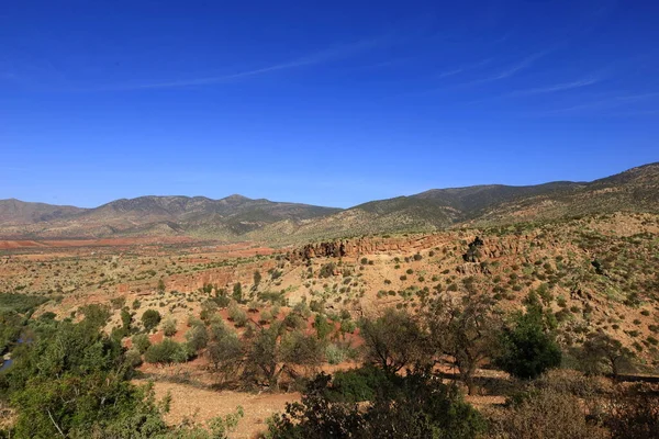 View on a mountain in the Haut Atlas Oriental National Park located in Morocco. It covers 49,000 hectares in and near the eastern High Atlas mountains