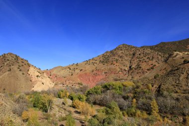 Fas 'taki Haut Atlas Oriental Ulusal Parkı' ndaki bir dağın manzarası. Doğu Yüksek Atlas Dağları 'nın içinde ve yakınında 49.000 hektarlık bir alanı kaplıyor