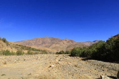 Fas 'taki Haut Atlas Oriental Ulusal Parkı' ndaki bir dağın manzarası. Doğu Yüksek Atlas Dağları 'nın içinde ve yakınında 49.000 hektarlık bir alanı kaplıyor.