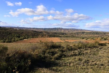 Moncayo Doğal Parkı 11.000 hektarlık bir alanı kaplar ve Zaragoza ili ile İspanya 'nın kuzeyinde bulunan Soria ili arasında yer alır. 