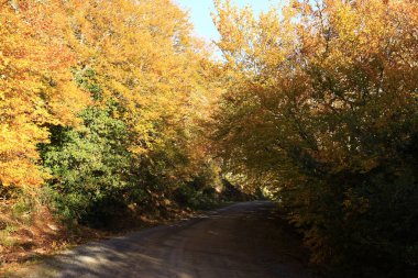 Moncayo Doğal Parkı 11.000 hektarlık bir alanı kaplar ve Zaragoza ili ile İspanya 'nın kuzeyinde bulunan Soria ili arasında yer alır. 