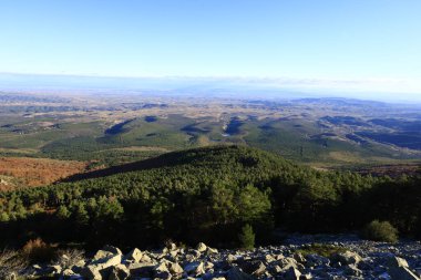 Moncayo Doğal Parkı 11.000 hektarlık bir alanı kaplar ve Zaragoza ili ile İspanya 'nın kuzeyinde bulunan Soria ili arasında yer alır. 