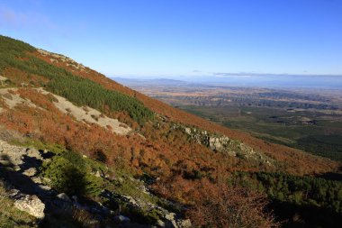 Moncayo Doğal Parkı 11.000 hektarlık bir alanı kaplar ve Zaragoza ili ile İspanya 'nın kuzeyinde bulunan Soria ili arasında yer alır. 