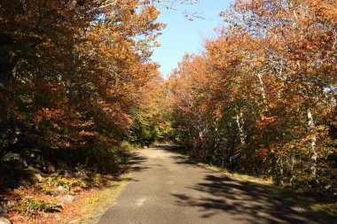 Moncayo Doğal Parkı 11.000 hektarlık bir alanı kaplar ve Zaragoza ili ile İspanya 'nın kuzeyinde bulunan Soria ili arasında yer alır. 