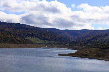Pajares rezervuarı, La Rioja özerk bölgesinde bulunan Lşemeras de Cameros belediyesinde bulunan yapay bir bataklıktır.