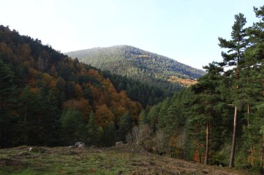 Parc Natural of the Sierra de Cebollera, Rioja 'nın doğal park ayrımına sahip iki doğal alanından biridir. İspanya 'nın kuzeyindeki İber Sistemi' nin dağlarının kuzey yamacında yer alır.
