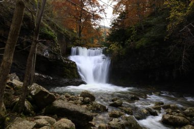 Parc Natural of the Sierra de Cebollera, Rioja 'nın doğal park ayrımına sahip iki doğal alanından biridir. İspanya 'nın kuzeyindeki İber Sistemi' nin dağlarının kuzey yamacında yer alır.