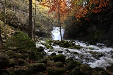 Parc Natural of the Sierra de Cebollera, Rioja 'nın doğal park ayrımına sahip iki doğal alanından biridir. İspanya 'nın kuzeyindeki İber Sistemi' nin dağlarının kuzey yamacında yer alır.