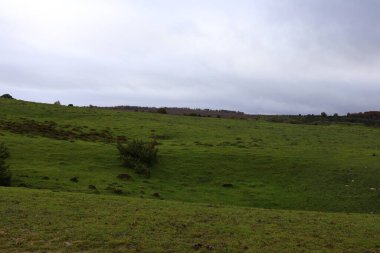  Urbasa Doğal Parkı, İspanya 'nın kuzeyinde Alava ve Navarre arasındaki sınırda yer almaktadır.